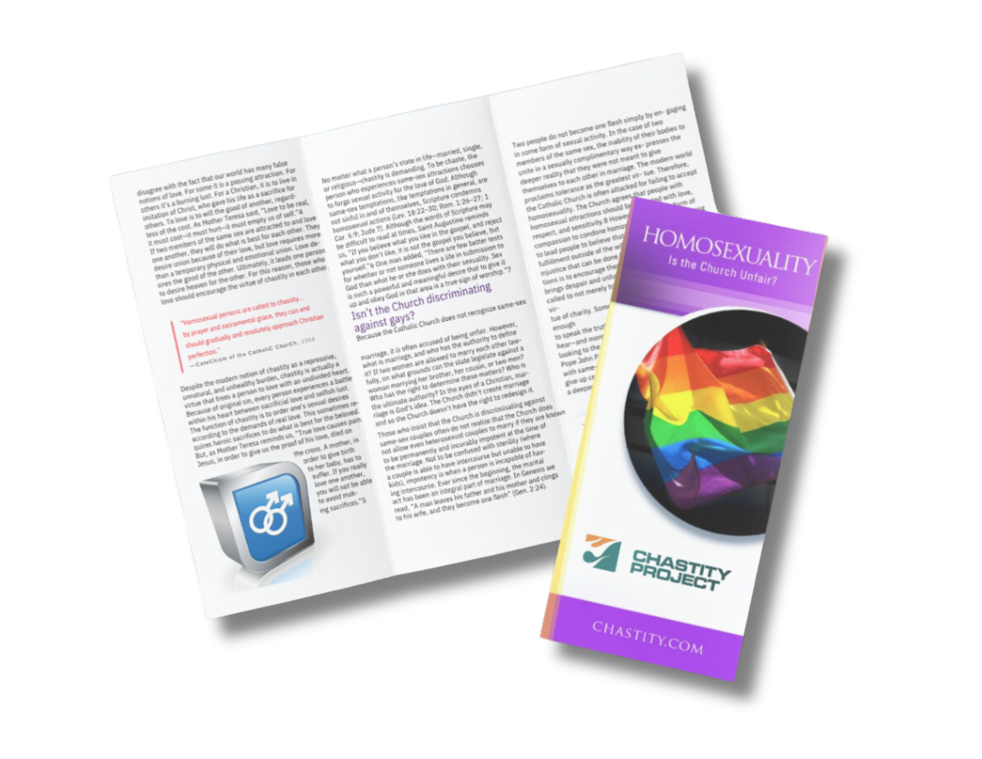 Homosexuality: Is the Church Unfair? Pamphlet Bundle of 50